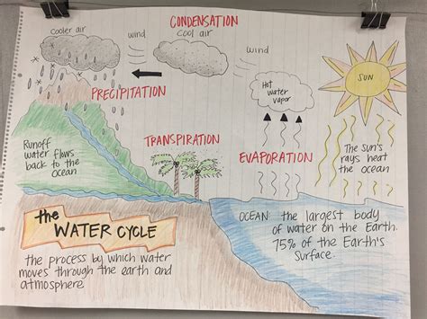 water cycle chart paper